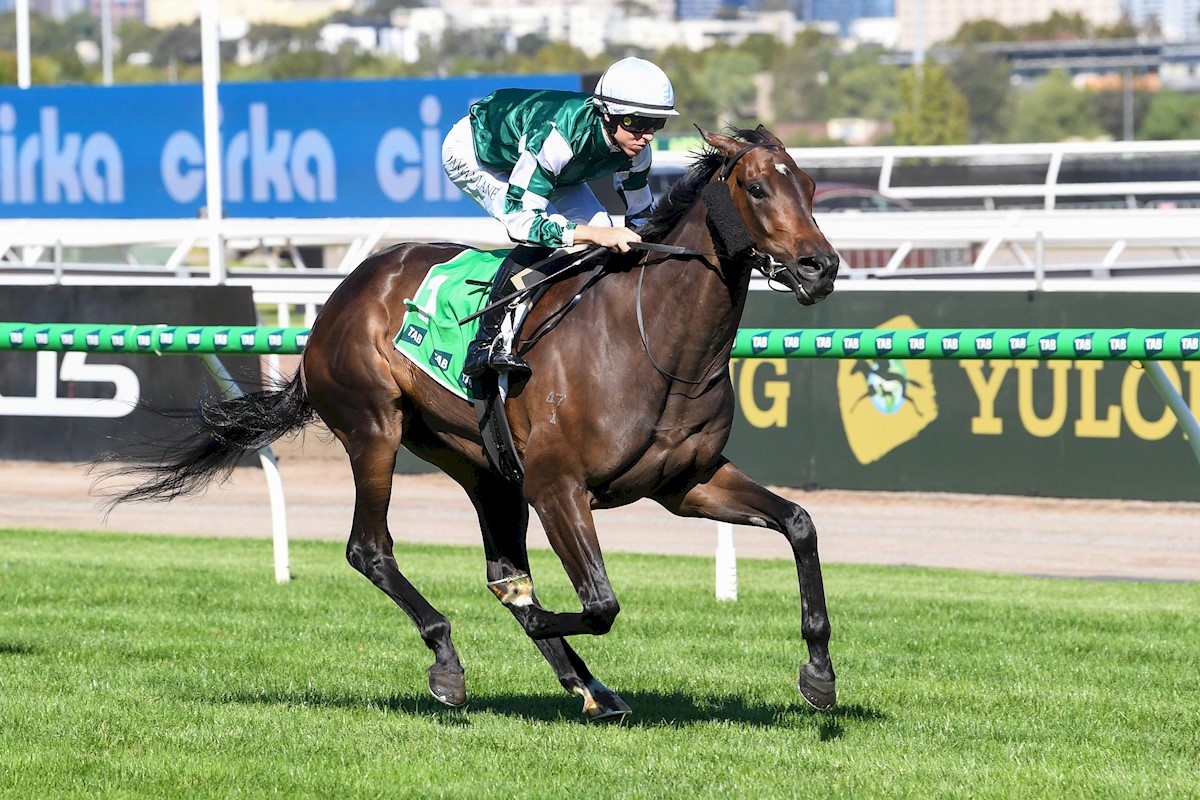 Treasurethe Moment & Damian Lane